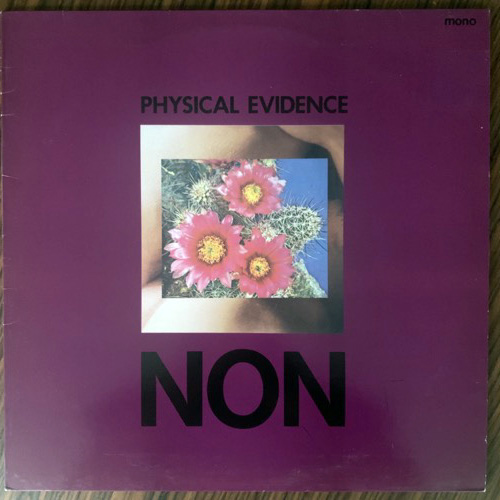 NON Physical Evidence (Mute - UK original) (VG+) LP