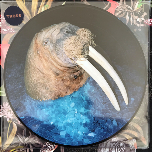 TROSS The Walrus EP (Höga Nord - Sweden original) (NEW) PIC 12" EP