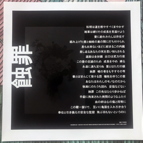 YOUTH CODE Consuming Guilt (Ltd to 150) (Big Love - Japan original) (EX/VG+) 7"