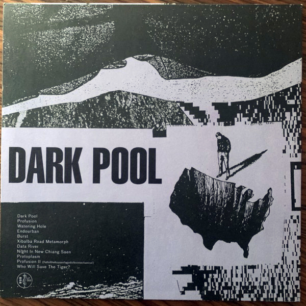 BLACK RAIN Dark Pool (Blackest Ever Black - UK original) (EX) LP