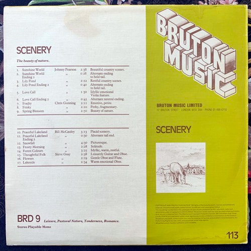 VARIOUS Scenery (Bruton Music - UK original) (VG/EX) LP