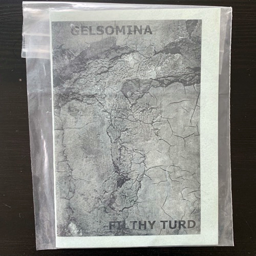 GELSOMINA/FILTHY TURD Untitled (Symbolic Prod - France original) (NM) CDR