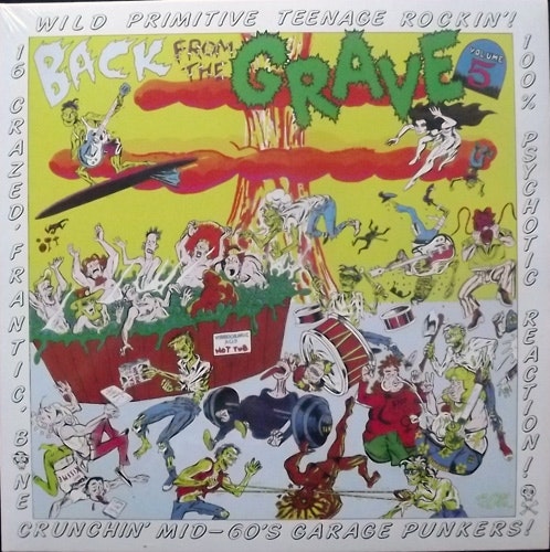 VARIOUS Back From The Grave Volume 5 (Crypt - Germany reissue) (NEW) LP
