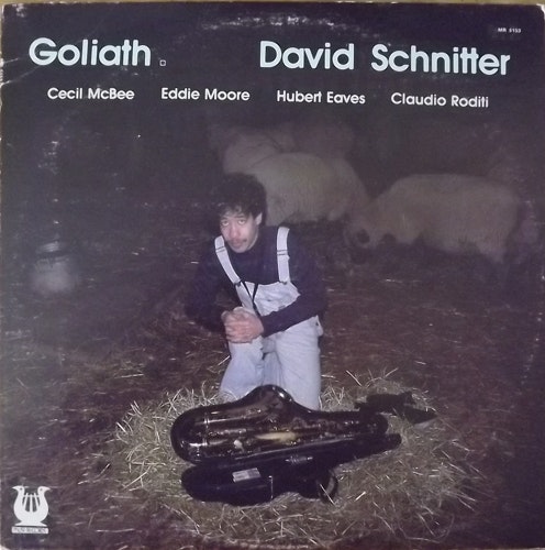 DAVID SCHNITTER Goliath (Muse - USA original) (VG/EX) LP