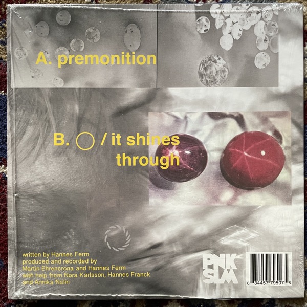 HOLY Premonition (PNKSLM - Sweden original) (NM/EX) 7"