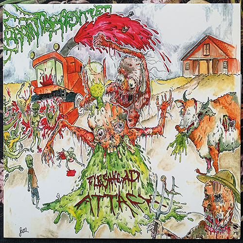 FLESHHEAD ATTACK Brainparasite (Red vinyl) (Kopperation - Germany original) (NM/EX) LP
