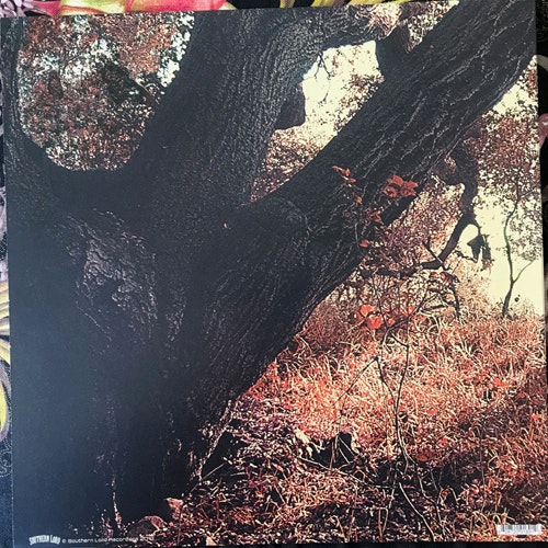 BL'AST Blood (Southern Lord - USA original) (NM) LP