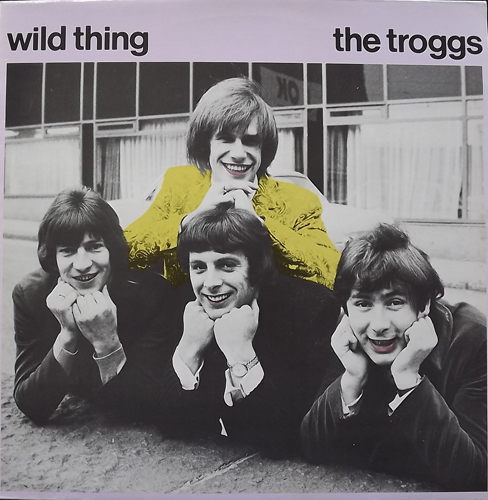 TROGGS, the Wild Thing (DJM - Scandinavia original) (EX/VG+) LP