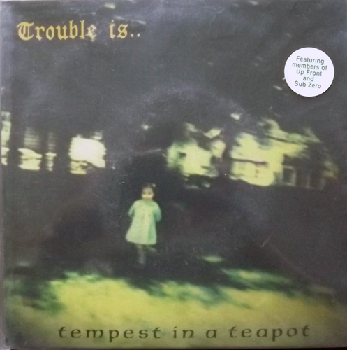 TROUBLE IS... Tempest In A Teapot (Smorgasbord - USA original) (EX) 7"