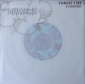 DUSTERS, the Forest Fire (Clear vinyl) (Dischord/Superbad - USA original) (VG+/EX) 7"