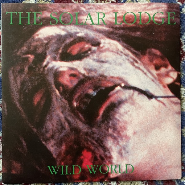 SOLAR LODGE, the Wild World (Beat Butchers - Sweden original) (VG+) 7"