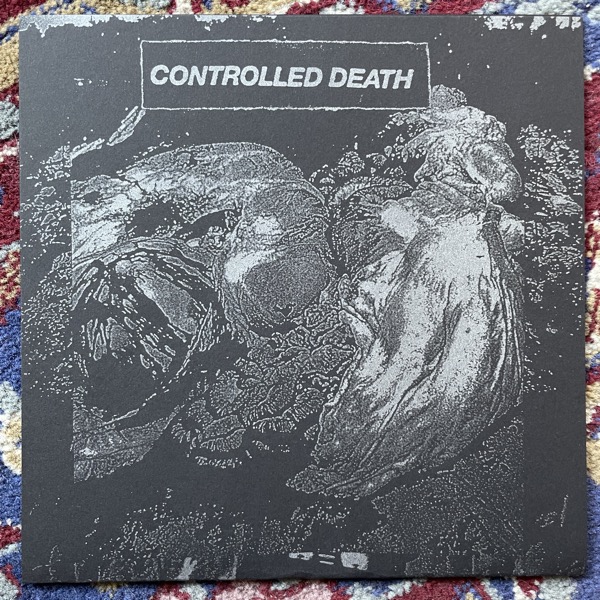 CONTROLLED DEATH Beautiful Decomposition (Silver vinyl) (Total Black - Germany original) (NM) 7"
