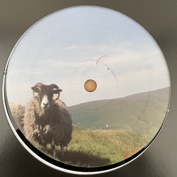TUSS, the Confederation Trough EP (Rephlex - UK original) (EX) 12"