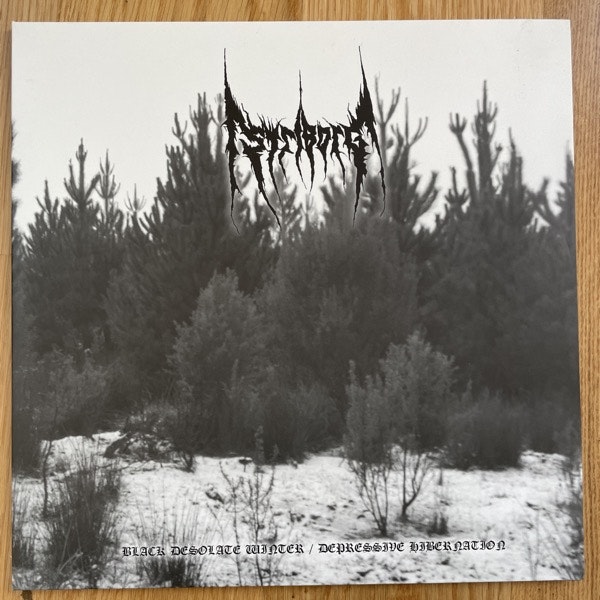 STRIBORG Black Desolate Winter / Depressive Hibernation (White / black vinyl) (Aphelion - UK original) (EX/NM) 2LP