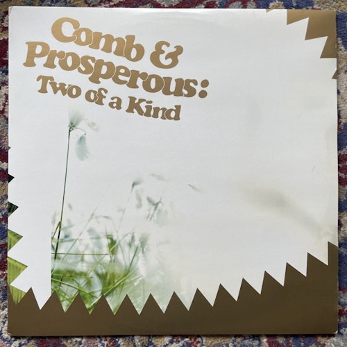 COMB & PROSPEROUS Two Of A Kind (iDEAL - Sweden original) (EX) LP