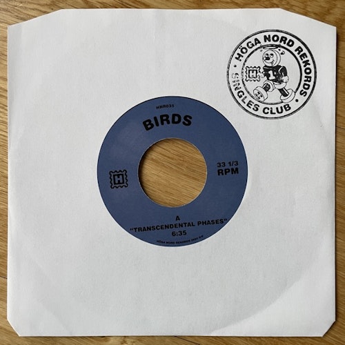 BIRDS Transcendental Phases / Tunnel Vision (Höga Nord - Sweden original) (EX) 7"