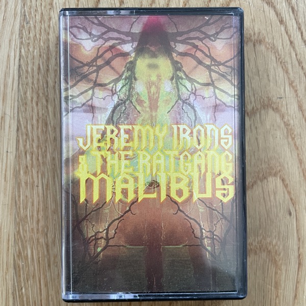 JEREMY IRONS & THE RATGANG MALIBUS Jeremy Irons & The Ratgang Malibus (Ljudkassett! - Sweden original) (NM) TAPE