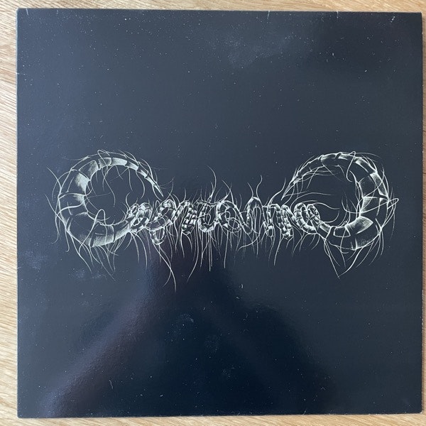 CAPRICORNS Capricorns (Rise Above - UK original) (VG+) MLP