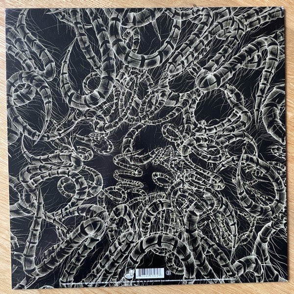 CAPRICORNS Capricorns (Rise Above - UK original) (VG+) MLP