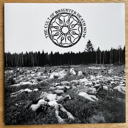 BRIGHTER DEATH NOW All Too Bad - Bad To All (Cold Meat Industry - Sweden original) (NM) LP