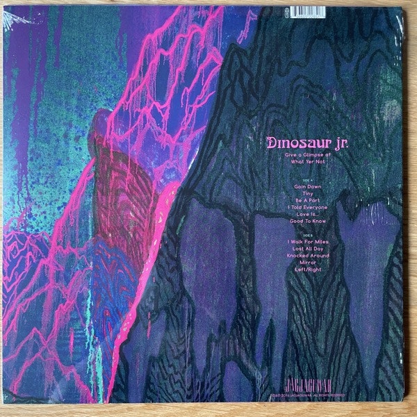 DINOSAUR JR Give A Glimpse Of What Yer Not (Jagjaguwar - USA original) (SS) LP