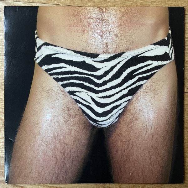 HUNX AND HIS PUNX Gay Singles (True Panther Sounds - USA original) (VG+/NM) LP