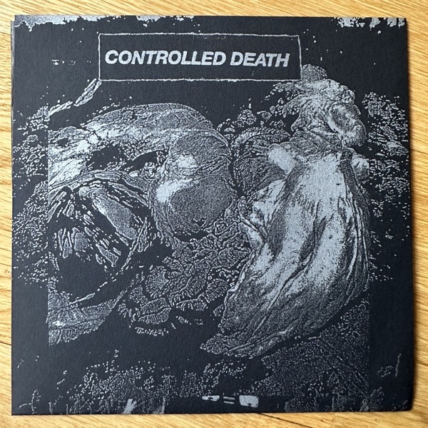 CONTROLLED DEATH Beautiful Decomposition (Total Black - Germany original) (NM) 7"