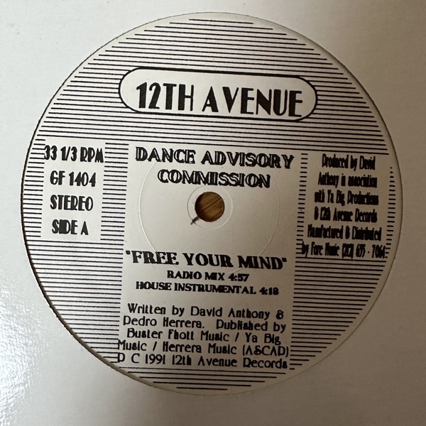 DANCE ADVISORY COMMISSION Free Your Mind (12th Avenue - USA original) (EX) 12"