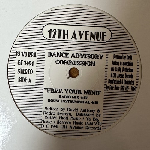 DANCE ADVISORY COMMISSION Free Your Mind (12th Avenue - USA original) (EX) 12"