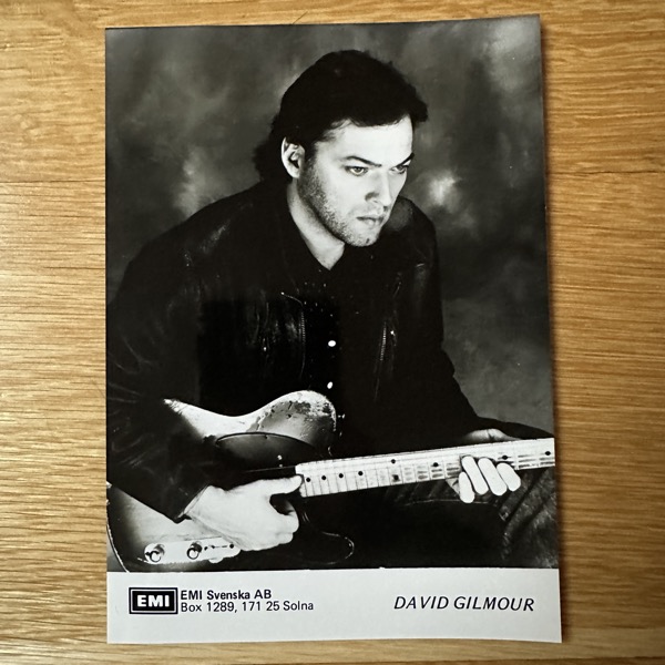 PINK FLOYD David Gilmour (NM) PROMO PHOTO