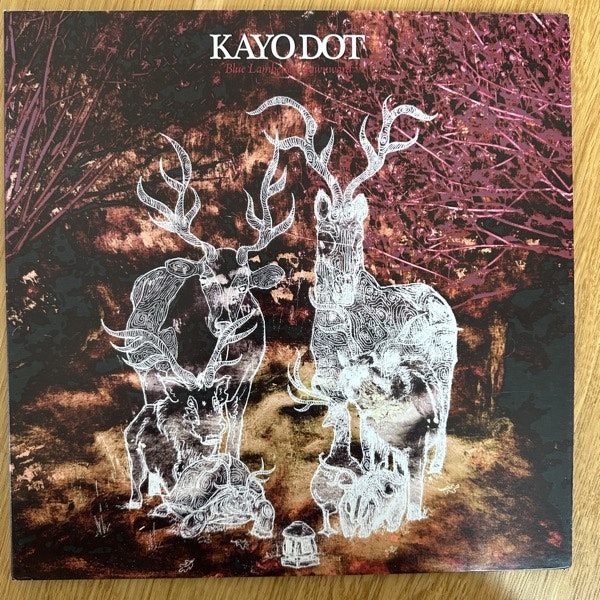 KAYO DOT Blue Lambency Downward (Maroon vinyl) (Hydra Head - USA original) (EX) LP