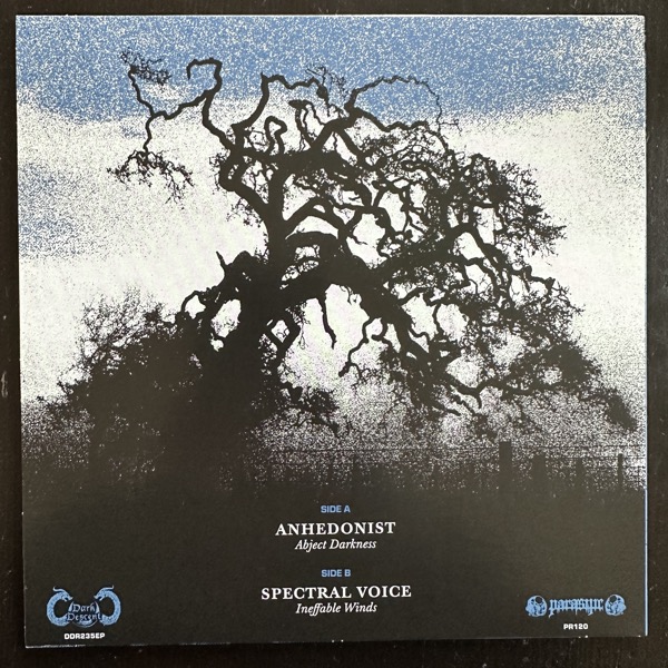 ANHEDONIST / SPECTRAL VOICE Abject Darkness / Ineffable Winds (Dark Descent - USA original) (NM) 7"