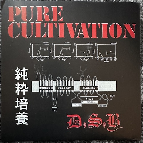D.S.B. Pure Cultivation (Partners In Crime – USA original) (EX) 7"