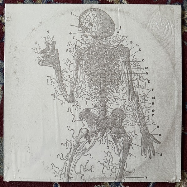 LAST DOMINION LOST Abomination Of Desolation (The Epicurean – Europe original) (EX) LP