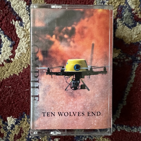COMPILE Ten Wolves End (Private Archive – USA original) (NM) TAPE