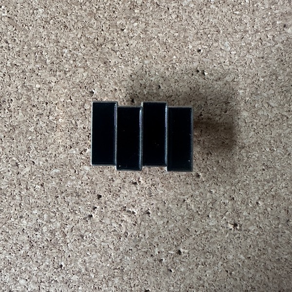 BLACK FLAG Logo (NM) METAL PIN