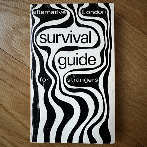 ALTERNATIVE LONDON SURVIVAL GUIDE FOR STRANGERS (VG) BOOK