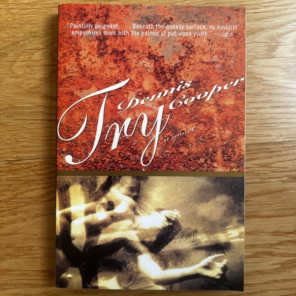 DENNIS COOPER Try (Grove) (EX) BOOK