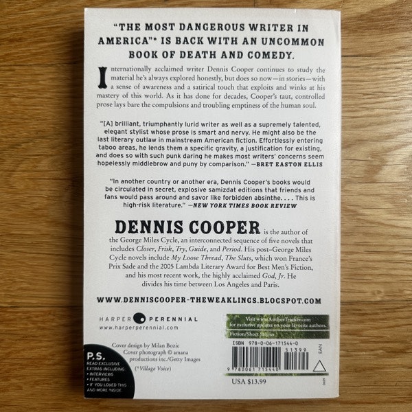 DENNIS COOPER Ugly Man (Harper 2009) (EX) BOOK