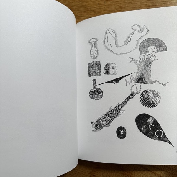 VISIONS OF POPE ADRIAN 37th Nick Blinko (Coptic Cat 2011) (NM) BOOK
