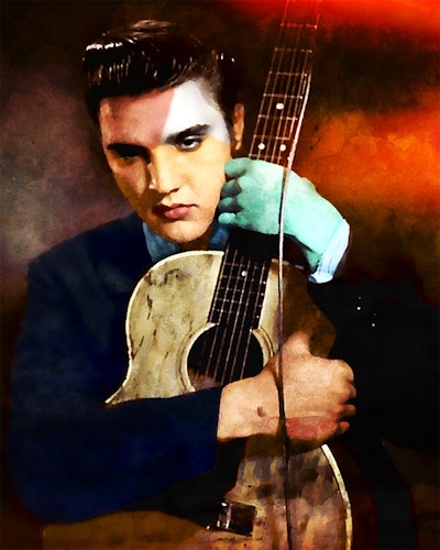 ELVIS #4