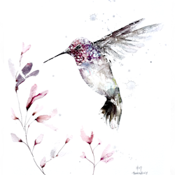 Hummingbird