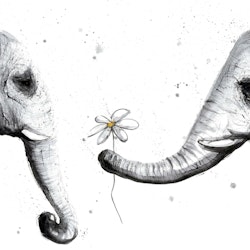 Elephantlove