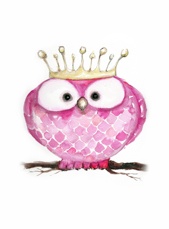 Princess owl