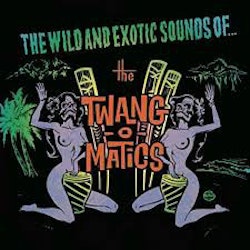 Twang-O-Matics, The ‎– The Wild And Exotic Sounds Of...Cd