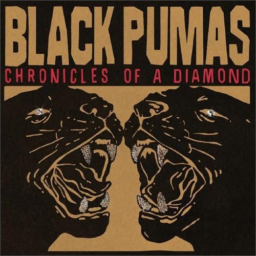 Black Pumas ‎– Chronicles Of A Diamond - LTD Indie | Lp