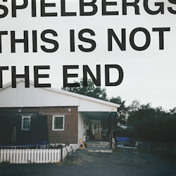Spielbergs ‎– This Is Not The End Lp