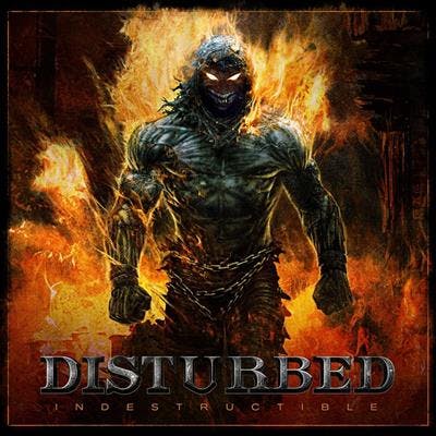 Disturbed ‎– Indestructible Lp