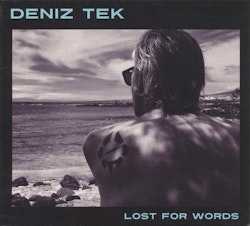 Deniz Tek ‎– Lost For Words  Lp