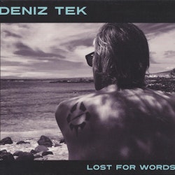 Deniz Tek ‎– Lost For Words  Lp